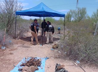 Buscadoras encuentran cinco fosas en San José de Guaymas