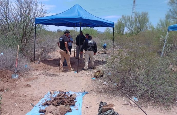 Buscadoras encuentran cinco fosas en San José de Guaymas