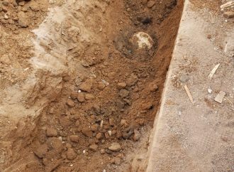 Encuentran restos de un cuerpo humano en el patio de una casa en Hermosillo