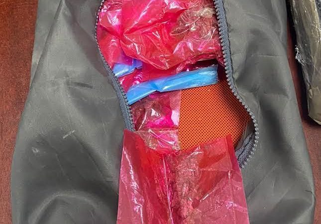 Aseguran cargamento de fentanilo escondido en pollos en Sonora