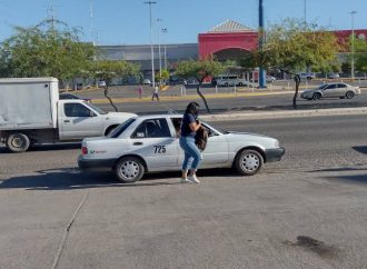 Aumenta uso de taxis colectivos en Sonora