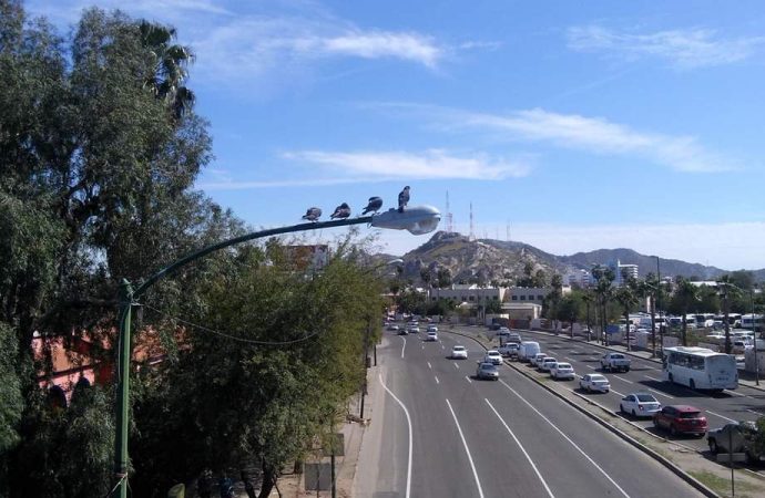 Cada vez menos personas en Hermosillo se trasladan caminando