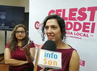 No hay una sobrerrepresentación de Morena en el Congreso de la Unión: Celeste Taddei