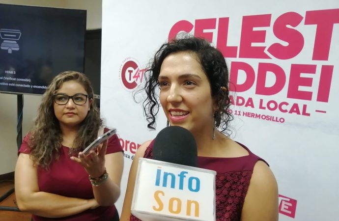 No hay una sobrerrepresentación de Morena en el Congreso de la Unión: Celeste Taddei