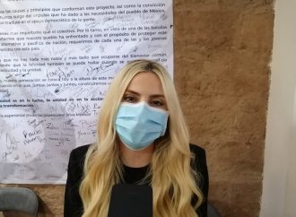 Trabajará el PES con las causas ciudadanas: Paloma Terán