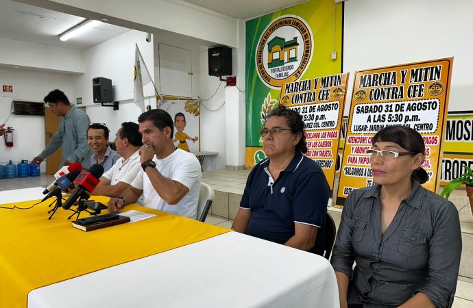 Batea Juez Federal a CFE en demanda contra Unión de Usuarios