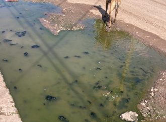 Reportan foco de infección en Colonia del Sur de Ciudad Obregón