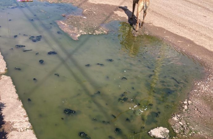 Reportan foco de infección en Colonia del Sur de Ciudad Obregón