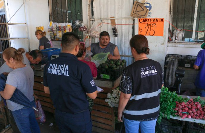 Trabaja programas preventivos en consciencia y prevención sobre la violencia de género