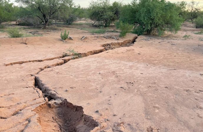 Cinco animales mueren tras caer en enorme zanja; Investigan causas de apertura de la tierra