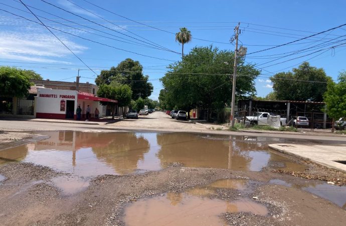 Sufren vecinos de Colonias de Cajeme por drenajes y falta de limpieza