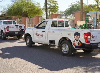 En Sonora incrementó el número de casos de dengue