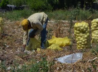 Se podrían perder 3 mil empleos en el Sur de Sonora