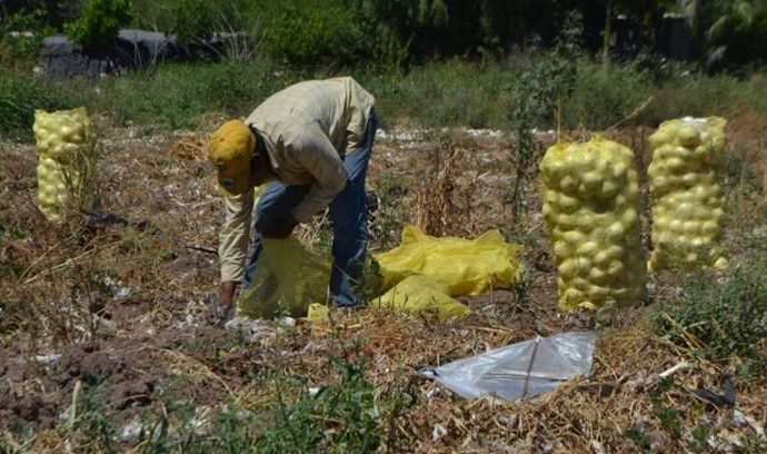 Se podrían perder 3 mil empleos en el Sur de Sonora