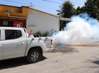 Realizan acciones para evitar el dengue y la rickettsia