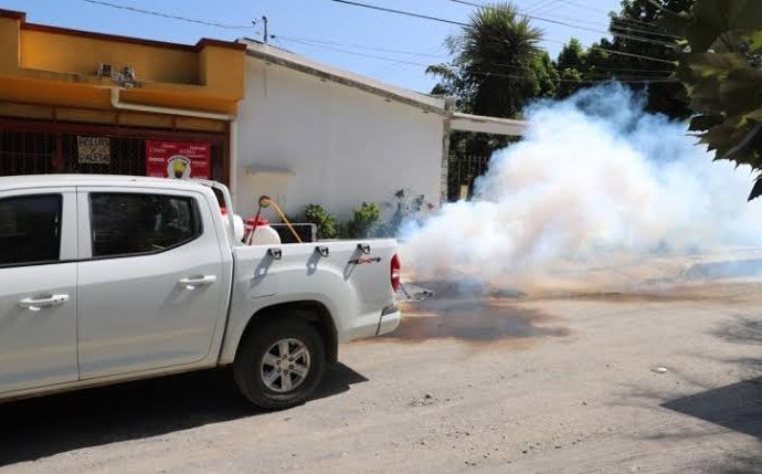 Realizan acciones para evitar el dengue y la rickettsia