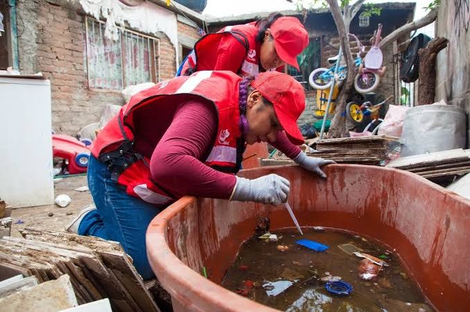 Guaymas es el municipio con más casos de Dengue en Sonora