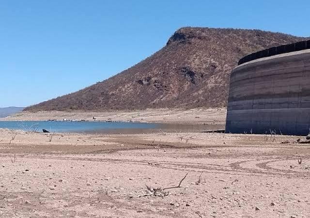 Todos los actores en la problemática del campo deben buscar soluciones