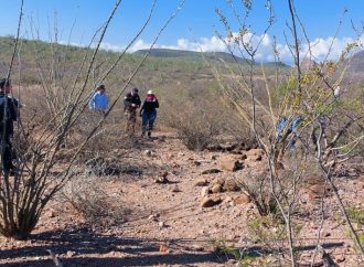 Buscan a Hijo de Cecy Flores en Jornada Especial en Sonora