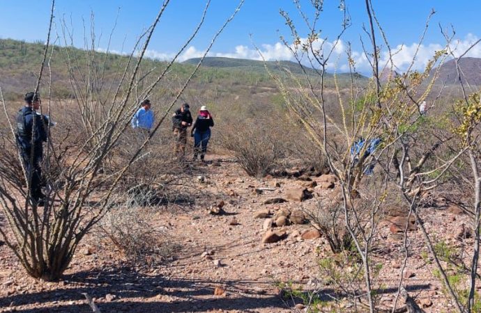 Buscan a Hijo de Cecy Flores en Jornada Especial en Sonora