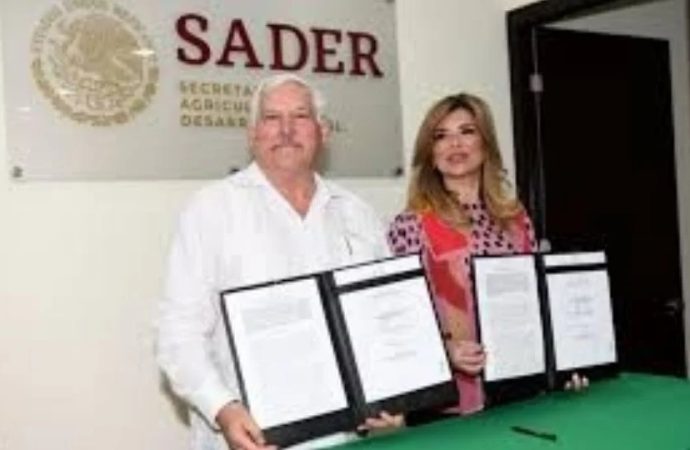 Se tambalea permanencia de la SADER en Cajeme