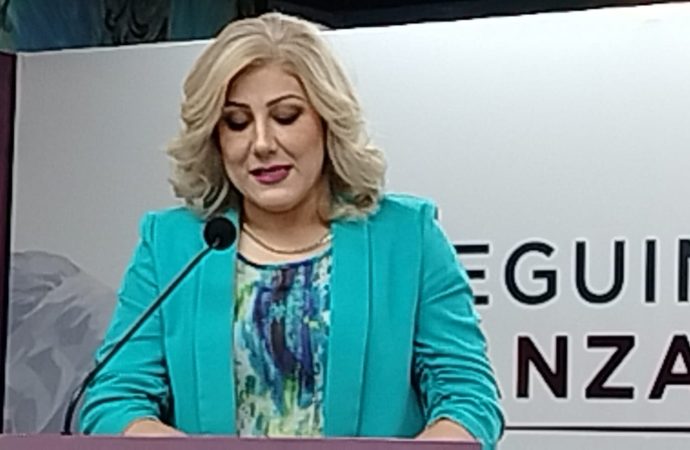 +Pañales 2024 supera edición del 2023