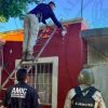 Destruyen redes de video vigilancia en Sonora utilizadas por la delincuencia