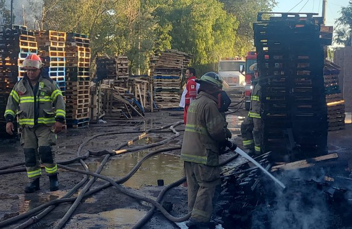 Sofocan Bomberos de Hermosillo incendio en una fábrica de tarimas de madera