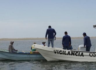 Intensifican combate a la pesca ilegal: 1,500 toneladas decomisadas en 2024