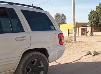 Se investiga caso de maltrato animal en San Luis Río Colorado