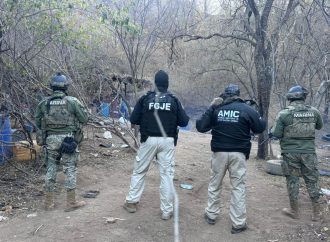 Desmantelan laboratorio clandestino de drogas sintéticas en Álamos