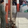 Perrito Max cambia su vida al llegar a un nuevo hogar