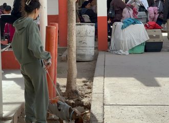 Perrito Max cambia su vida al llegar a un nuevo hogar