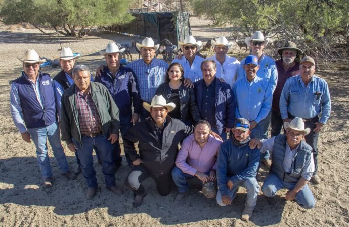 Comienza la inspección de ganado sonorense para su cruce a Estados Unidos