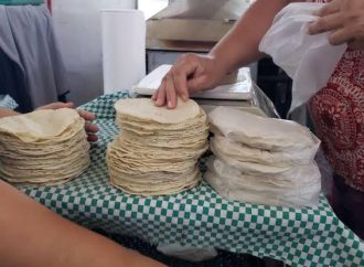 Elevado costo de la tortilla de maíz depende de diversos factores