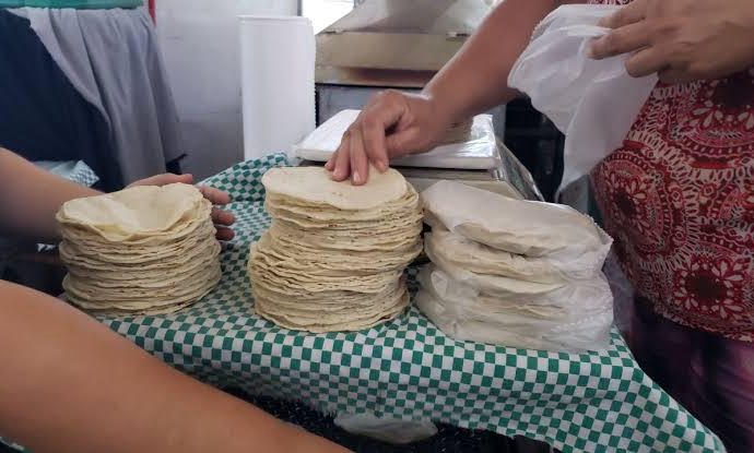 Elevado costo de la tortilla de maíz depende de diversos factores