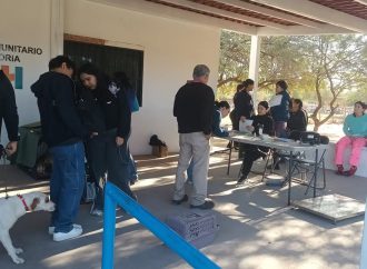 Realizarán jornada de esterilización de perros y gatos en CECATI Hermosillo