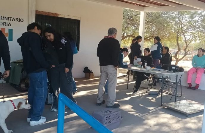 Realizarán jornada de esterilización de perros y gatos en CECATI Hermosillo