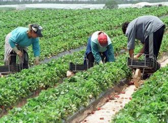 Aranceles afectarán a consumidores