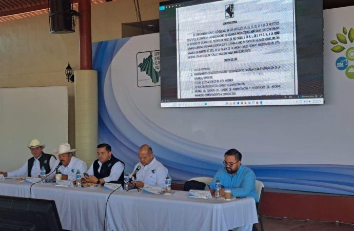 Asume Mario Pablos presidencia del DRRY