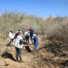 Van 41 osamentas encontradas sobre la carretera 26 de Hermosillo