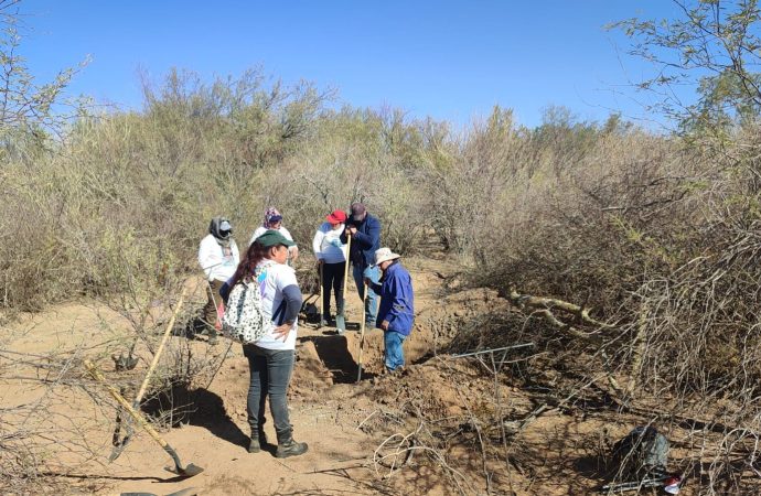 Van 41 osamentas encontradas sobre la carretera 26 de Hermosillo