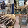 Golpe al crimen en Sonora: 16 detenidos y decomiso de armas en la “Operación Frontera Norte”