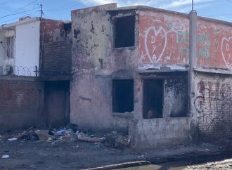 Va Lamarque por cochinones