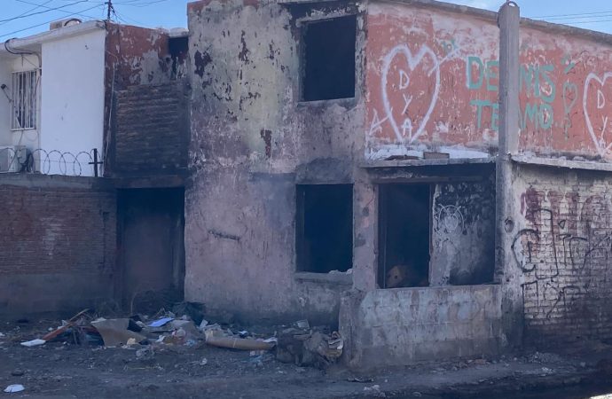 Va Lamarque por cochinones