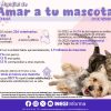 Sonorenses gastan mil 200 en mascotas cada tres meses: INEGI