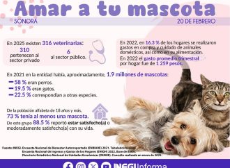 Sonorenses gastan mil 200 en mascotas cada tres meses: INEGI