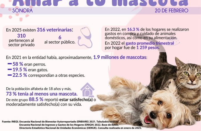 Sonorenses gastan mil 200 en mascotas cada tres meses: INEGI