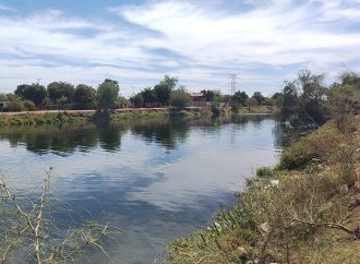 Victimas de ecocidio 250 Tortugas investigan autoridades el caso