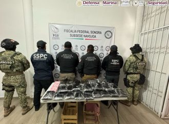 Incautan cargamento de Nopales con fentanilo escondido en Sonora